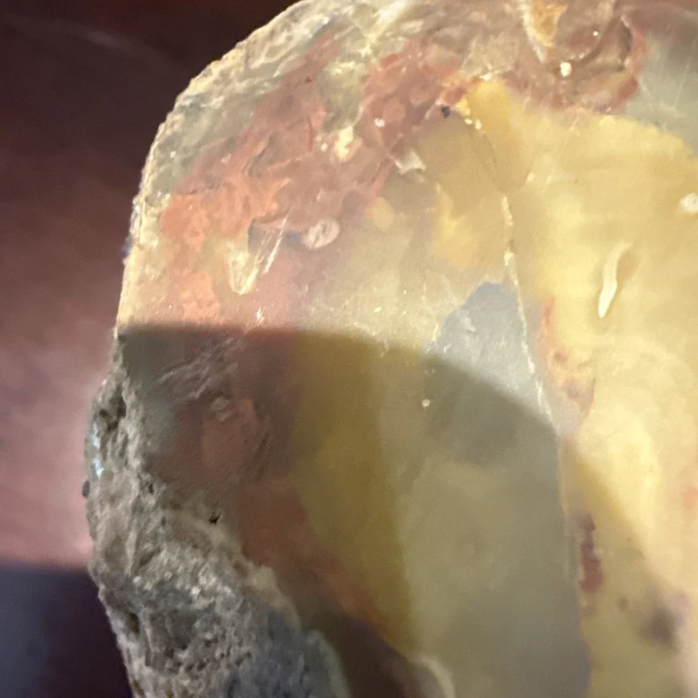 2.1 LB Agatized Petrified Wood Log Fossil Polished Ends Natural Bark Specimen